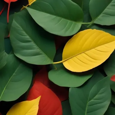 Minimal Soft Studio Light Photography Green Leaves With Yellow And Red Accents A Vibrant Natural Background High Detail Solid Bold Color Background 1 C5ef