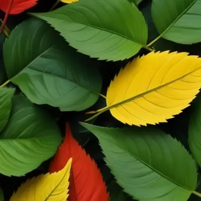 Minimal Soft Studio Light Photography Green Leaves With Yellow And Red Accents A Vibrant Natural Background High Detail Solid Bold Color Background 20 Fa88