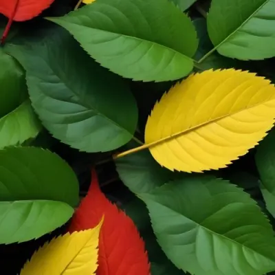 Minimal Soft Studio Light Photography Green Leaves With Yellow And Red Accents A Vibrant Natural Background High Detail Solid Bold Color Background 24 Cc72