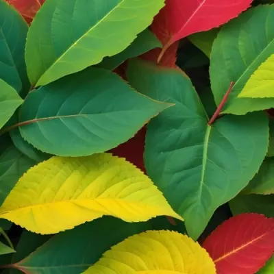 Minimal Soft Studio Light Photography Green Leaves With Yellow And Red Accents A Vibrant Natural Background High Detail Solid Bold Color Background 26 2ac4