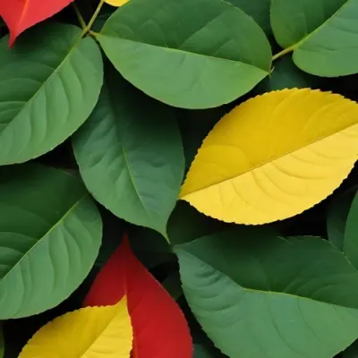 Minimal Soft Studio Light Photography Green Leaves With Yellow And Red Accents A Vibrant Natural Background High Detail Solid Bold Color Background 27 2d91