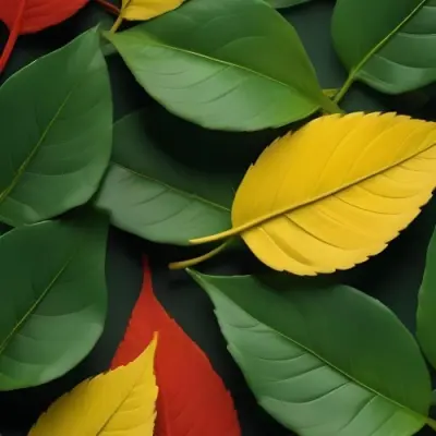 Minimal Soft Studio Light Photography Green Leaves With Yellow And Red Accents A Vibrant Natural Background High Detail Solid Bold Color Background 3 Fad2
