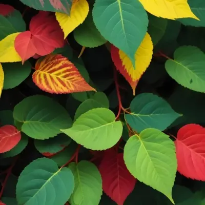 Minimal Soft Studio Light Photography Green Leaves With Yellow And Red Accents A Vibrant Natural Background High Detail Solid Bold Color Background 31 3cb8