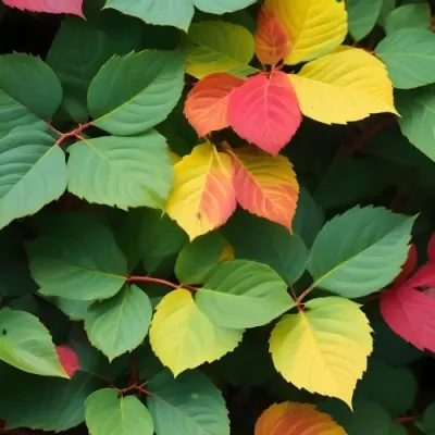Minimal Soft Studio Light Photography Green Leaves With Yellow And Red Accents A Vibrant Natural Background High Detail Solid Bold Color Background 33 4351