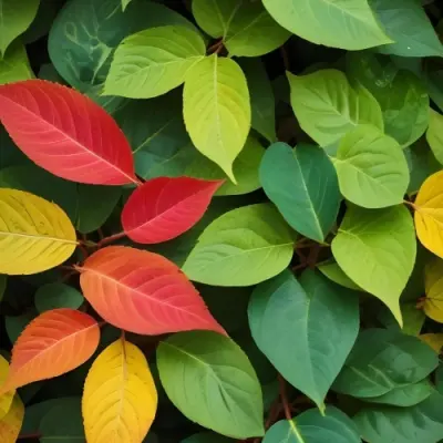Minimal Soft Studio Light Photography Green Leaves With Yellow And Red Accents A Vibrant Natural Background High Detail Solid Bold Color Background 39 73a6