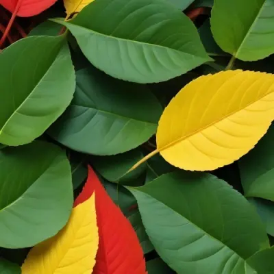 Minimal Soft Studio Light Photography Green Leaves With Yellow And Red Accents A Vibrant Natural Background High Detail Solid Bold Color Background 42 D9c3