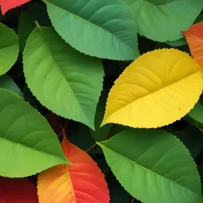 Minimal Soft Studio Light Photography Green Leaves With Yellow And Red Accents A Vibrant Natural Background High Detail Solid Bold Color Background 45 1df4