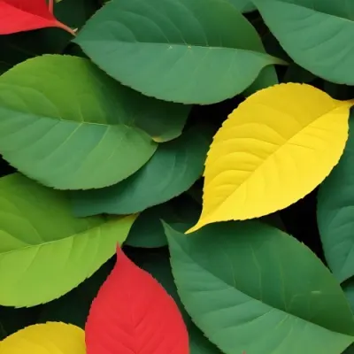 Minimal Soft Studio Light Photography Green Leaves With Yellow And Red Accents A Vibrant Natural Background High Detail Solid Bold Color Background 46 491e
