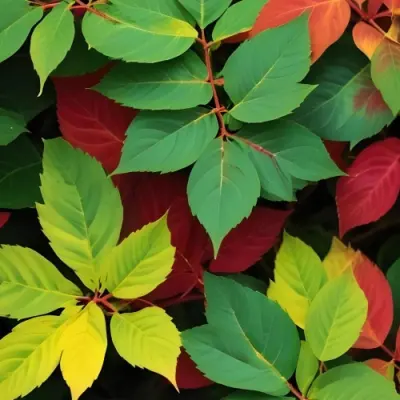 Minimal Soft Studio Light Photography Green Leaves With Yellow And Red Accents A Vibrant Natural Background High Detail Solid Bold Color Background 51 6ed7