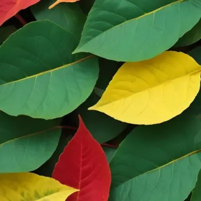 Minimal Soft Studio Light Photography Green Leaves With Yellow And Red Accents A Vibrant Natural Background High Detail Solid Bold Color Background 52 726e