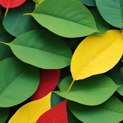 Minimal Soft Studio Light Photography Green Leaves With Yellow And Red Accents A Vibrant Natural Background High Detail Solid Bold Color Background 54 A931