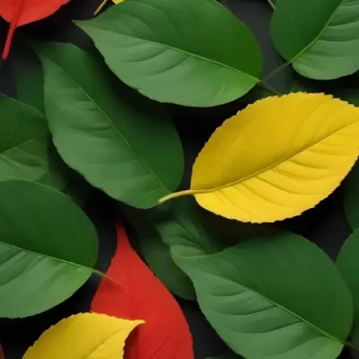 Minimal Soft Studio Light Photography Green Leaves With Yellow And Red Accents A Vibrant Natural Background High Detail Solid Bold Color Background 6 1c9b