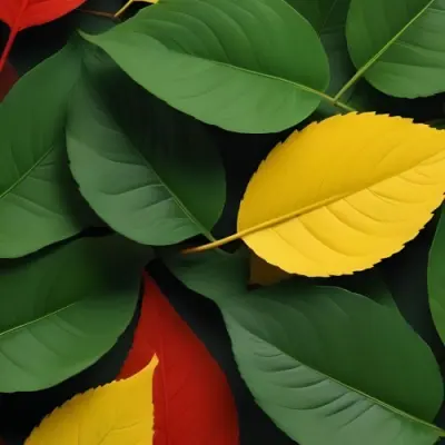 Minimal Soft Studio Light Photography Green Leaves With Yellow And Red Accents A Vibrant Natural Background High Detail Solid Bold Color Background 7 De79