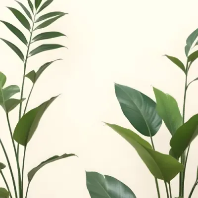 Minimal Soft Studio Light Photography Green Tropical Leaves Against A Light Background High Detail Solid Bold Color Background 15 39bd