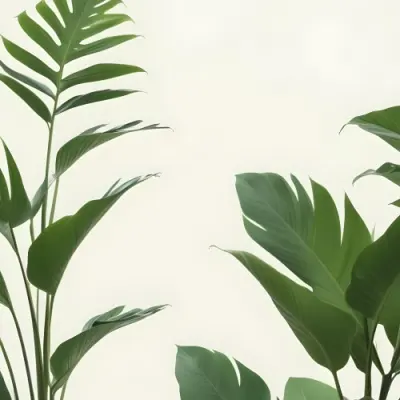 Minimal Soft Studio Light Photography Green Tropical Leaves Against A Light Background High Detail Solid Bold Color Background 2 F53a