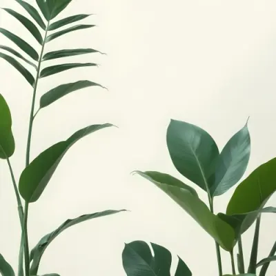 Minimal Soft Studio Light Photography Green Tropical Leaves Against A Light Background High Detail Solid Bold Color Background 7 F1bf