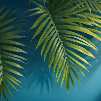 Palm Leaves On The Corners With A Shadow Of Palm Leaves In A Blue Background 34 9928