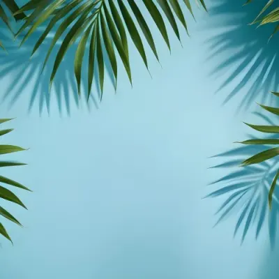 Palm Leaves On The Corners With A Shadow Of Palm Leaves In A Blue Background 38 7451
