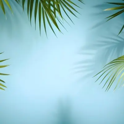 Palm Leaves On The Corners With A Shadow Of Palm Leaves In A Blue Background 4 Ce2c
