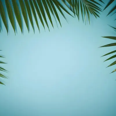 Palm Leaves On The Corners With A Shadow Of Palm Leaves In A Blue Background 71 9959