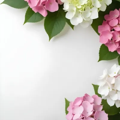 Pink And White Hydrangea Flowers With Green Leaves On A Light Background 11 83d3