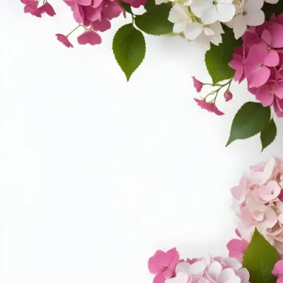Pink And White Hydrangea Flowers With Green Leaves On A Light Background 12 65bf