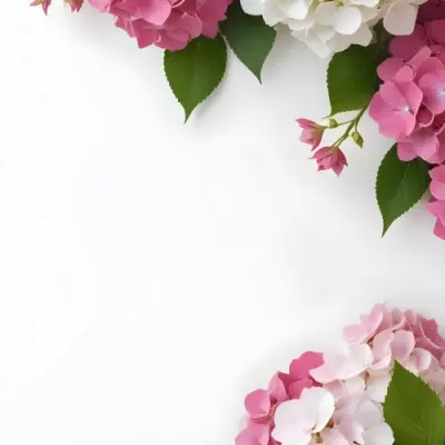 Pink And White Hydrangea Flowers With Green Leaves On A Light Background 17 B5e2