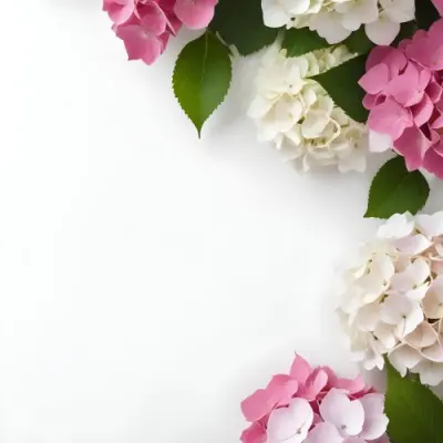 Pink And White Hydrangea Flowers With Green Leaves On A Light Background 20 C35c