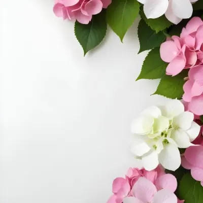 Pink And White Hydrangea Flowers With Green Leaves On A Light Background 3 Eba5
