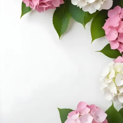 Pink And White Hydrangea Flowers With Green Leaves On A Light Background 7 0de5