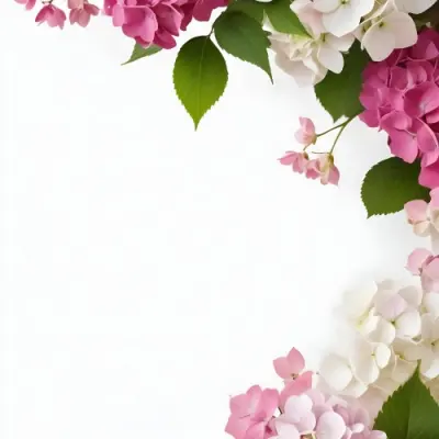 Pink And White Hydrangea Flowers With Green Leaves On A Light Background 8 E517