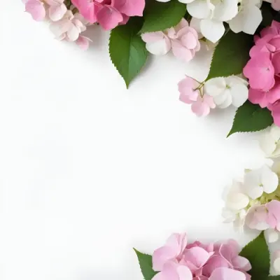 Pink And White Hydrangea Flowers With Green Leaves On A Light Background 9 4622