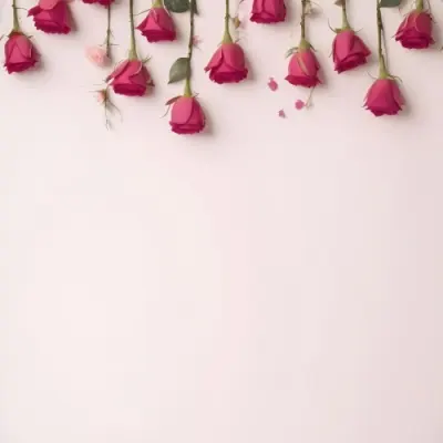 Pink Roses On A Light Background With Copy Space 12 3c06