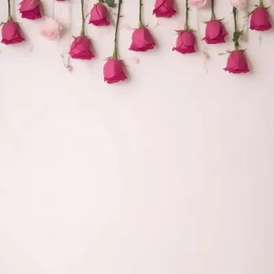 Pink Roses On A Light Background With Copy Space 9 38af