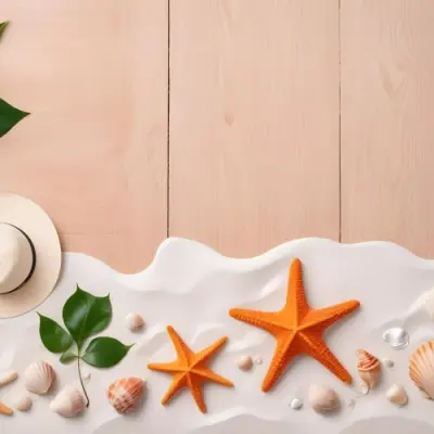 Seashells And Starfish On White Sand With A Hat And A Green Leaf On A White Wooden Surface 16 446e