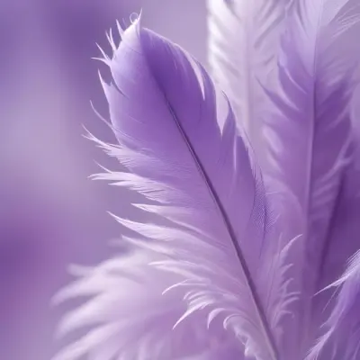 Soft Wispy Purple Feathers With A Blurred Ethereal Background6 1 2355