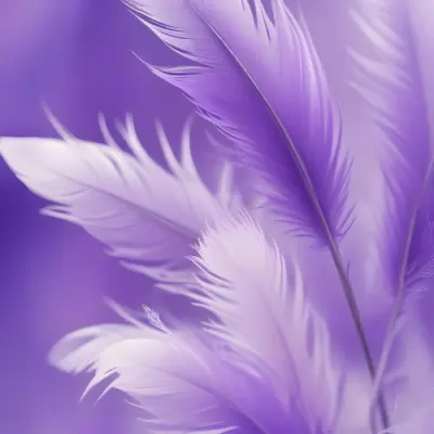 Soft Wispy Purple Feathers With A Blurred Ethereal Background6 12 3b91