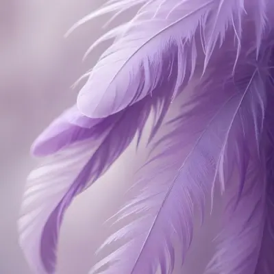 Soft Wispy Purple Feathers With A Blurred Ethereal Background6 3 3165