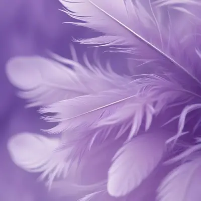 Soft Wispy Purple Feathers With A Blurred Ethereal Background6 7 E3f7