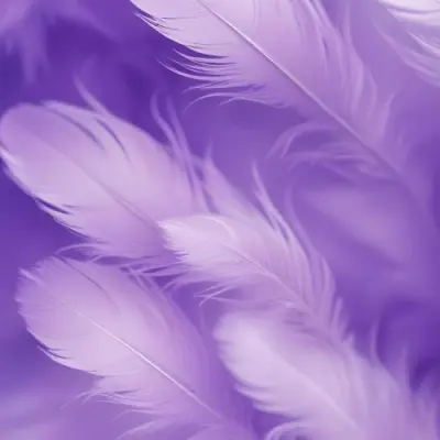 Soft Wispy Purple Feathers With A Blurred Ethereal Background6 9 8b7d