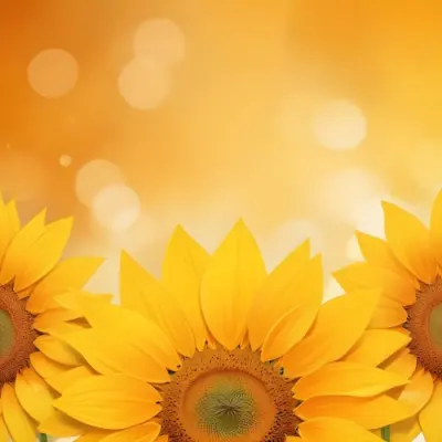 Three Sunflowers With Orange Petals And Yellow Centers Arranged At The Bottom Of The Frame Soft Yellow Background With Bokeh Effect 12 4ef7
