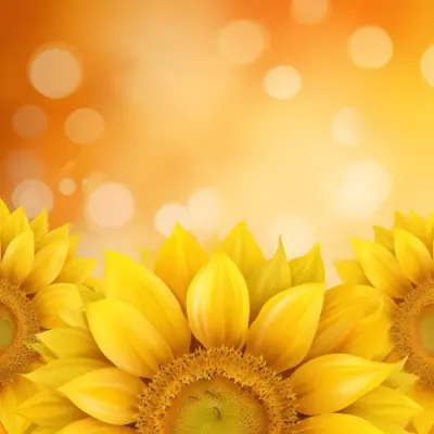 Three Sunflowers With Orange Petals And Yellow Centers Arranged At The Bottom Of The Frame Soft Yellow Background With Bokeh Effect 42 78a5