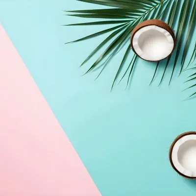 Two Halves Of A Coconut And A Palm Leaf