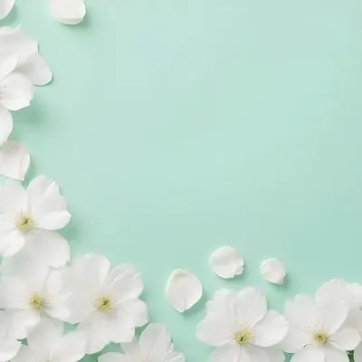 White Flowers And Petals On A Light Green Background Floral Arrangement Soft Lighting Minimalist Composition Fresh And Delicate Spring Theme Clean Aesthetic 20 4845