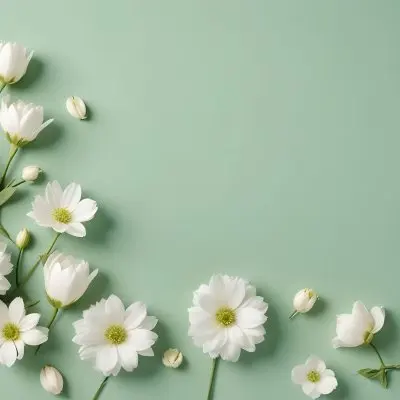 White Flowers And Petals On A Light Green Background Floral Arrangement Soft Lighting Minimalist Composition Fresh And Delicate Spring Theme Clean Aesthetic 51 Dbcc
