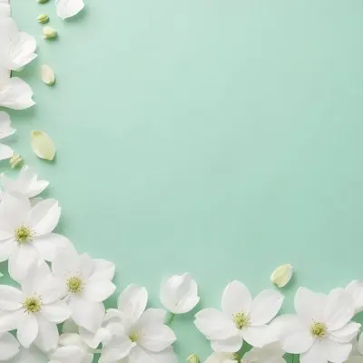 White Flowers And Petals On A Light Green Background Floral Arrangement Soft Lighting Minimalist Composition Fresh And Delicate Spring Theme Clean Aesthetic 9 Db25