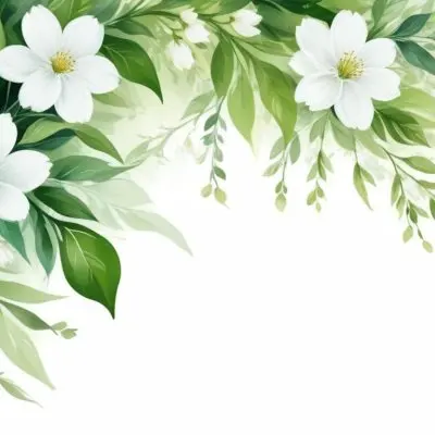 White Flowers With Green Leaves Floral Arrangement Botanical Illustration Soft Lighting Watercolor Style Delicate Details Fresh And Vibrant Nature Inspired Elegant Composition Bright Background 47 C59e