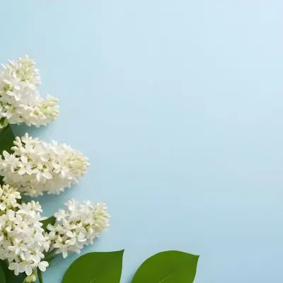 White Lilac Flowers With Green Leaves On A Light Blue Background Top View Soft Lighting Clean Composition Minimalist Style Fresh And Vibrant 56 Eca1