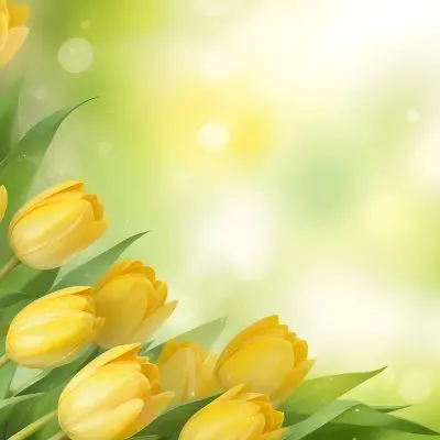 Yellow Tulips With Green Leaves In The Right Corner Bokeh Effect Bright Light In The Upper Right Corner Spring Background 65 7dee