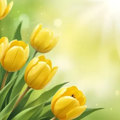 Yellow Tulips With Green Leaves In The Right Corner Bokeh Effect Bright Light In The Upper Right Corner Spring Background 70 1024